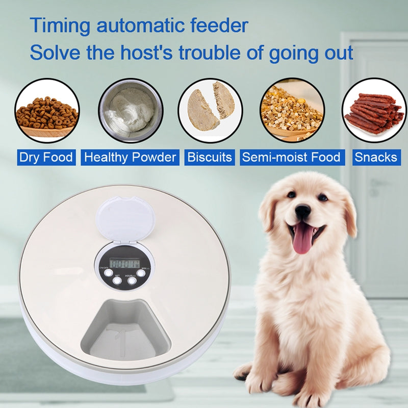 Pet Automatic 6 Grid Round Timing Feeder
