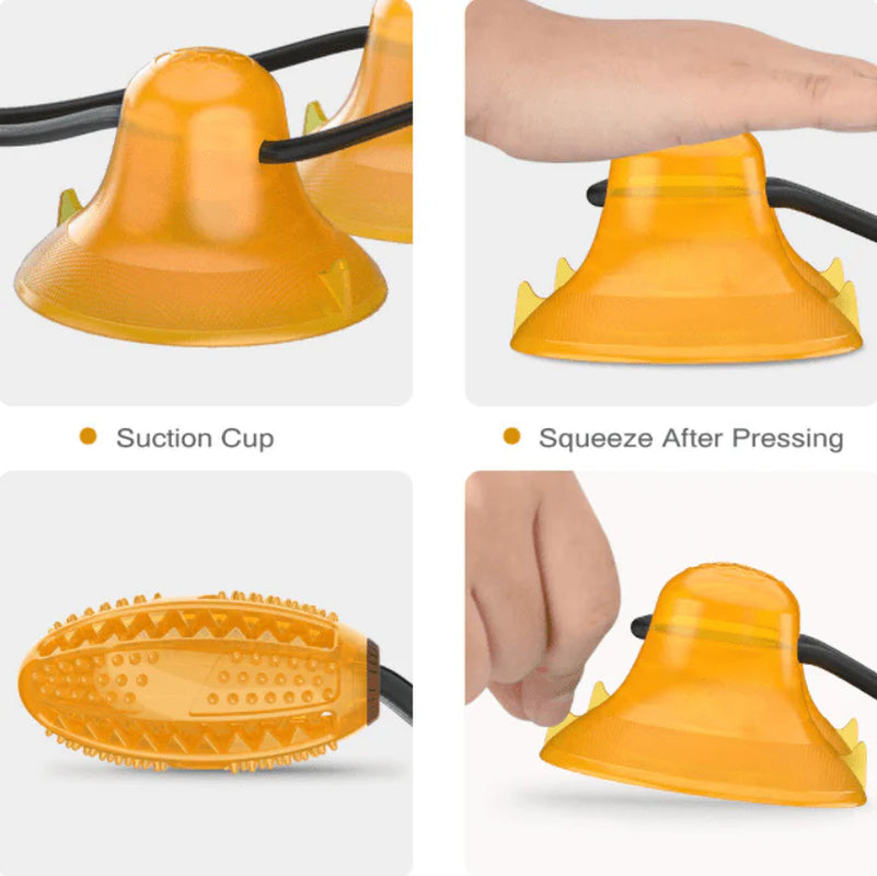 Pet Interactive Suction Cup  Elastic Rope