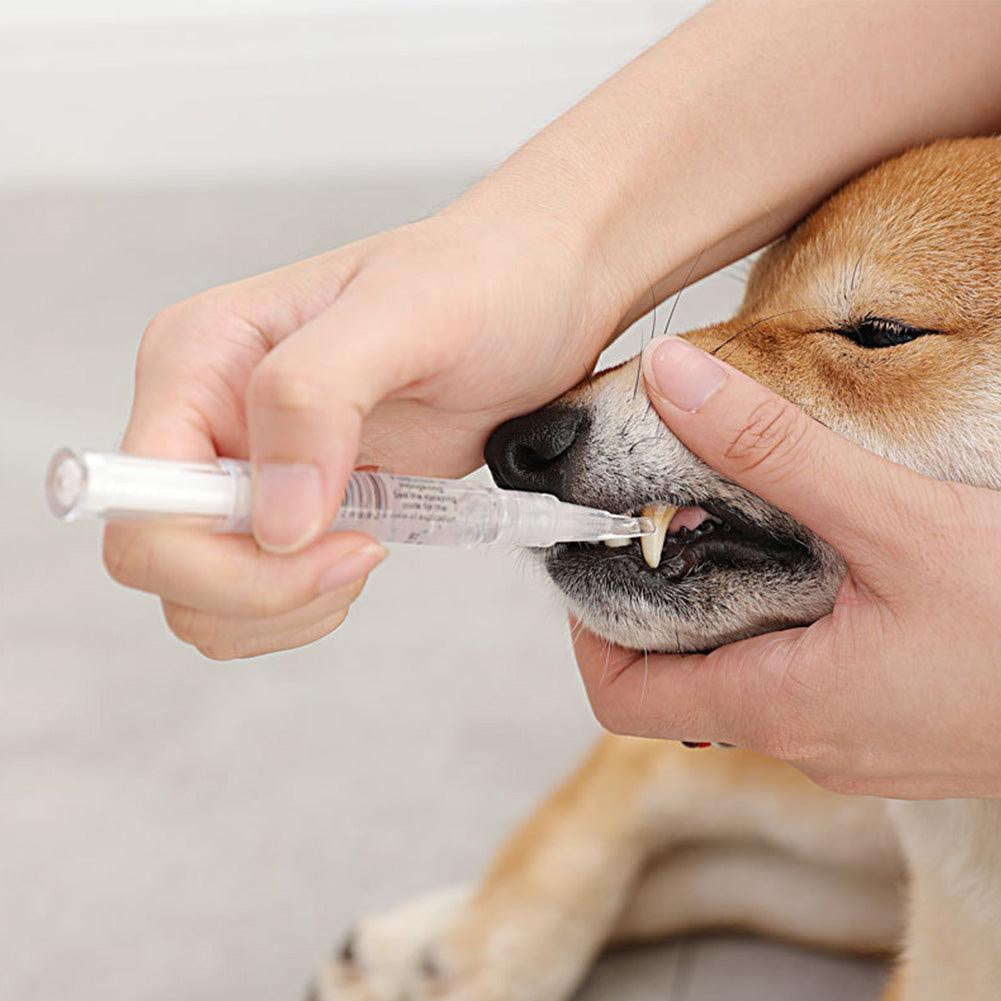 5ml Dog Teeth Cleaning Pen