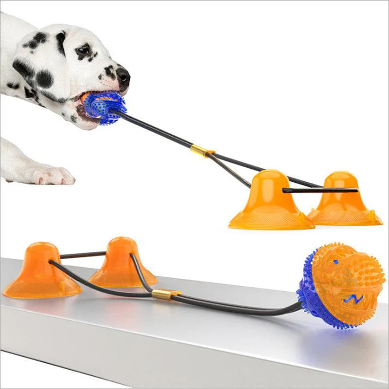 Pet Interactive Suction Cup  Elastic Rope