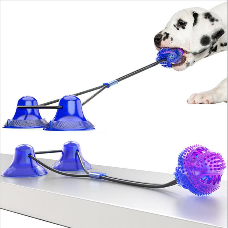 Pet Interactive Suction Cup  Elastic Rope
