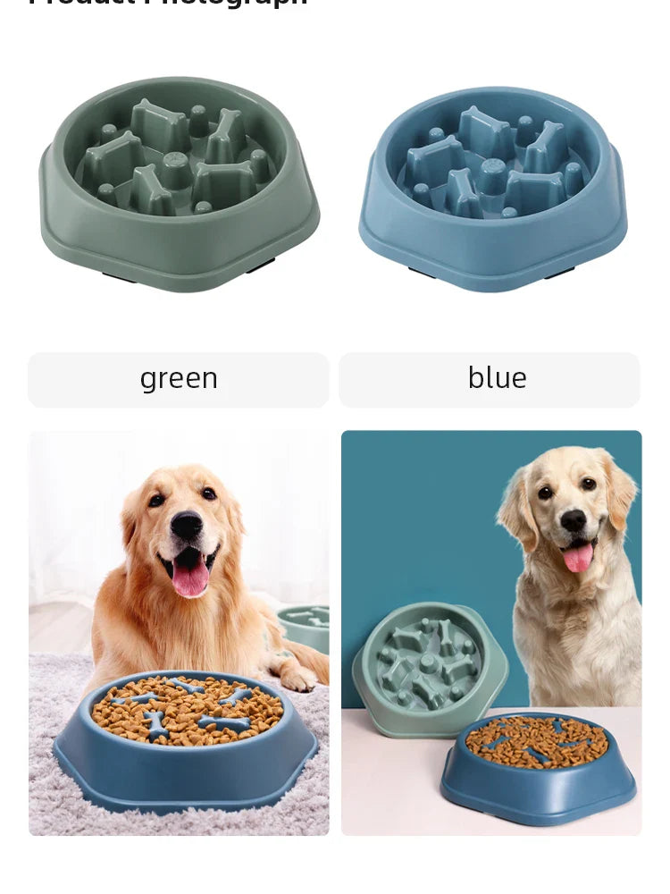 Pet Slow Food Bowl