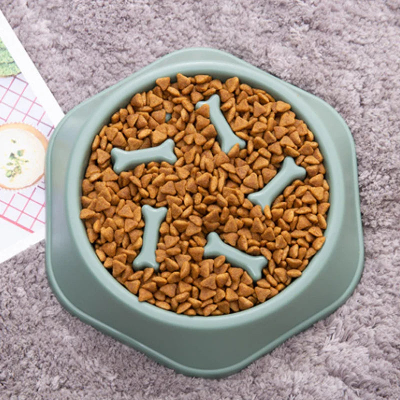Pet Slow Food Bowl