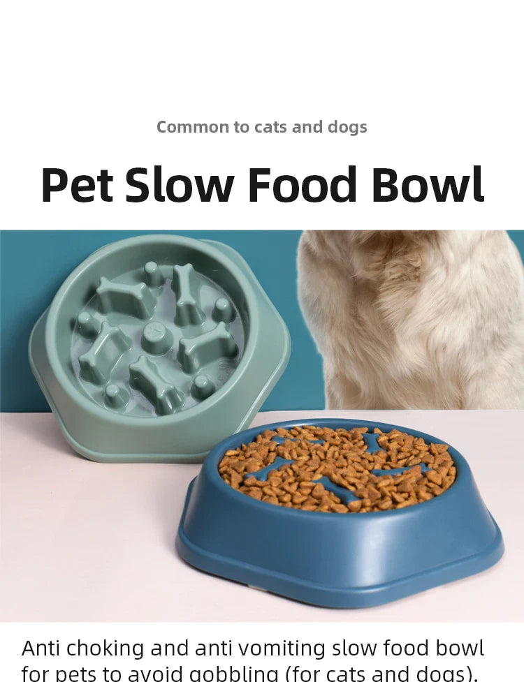 Pet Slow Food Bowl
