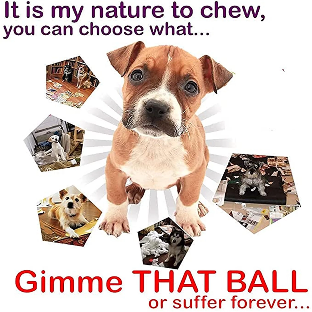 Dog Interactive Rubber Ball
