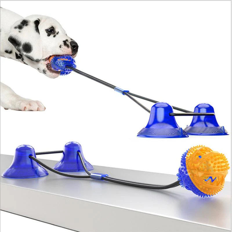 Pet Interactive Suction Cup  Elastic Rope